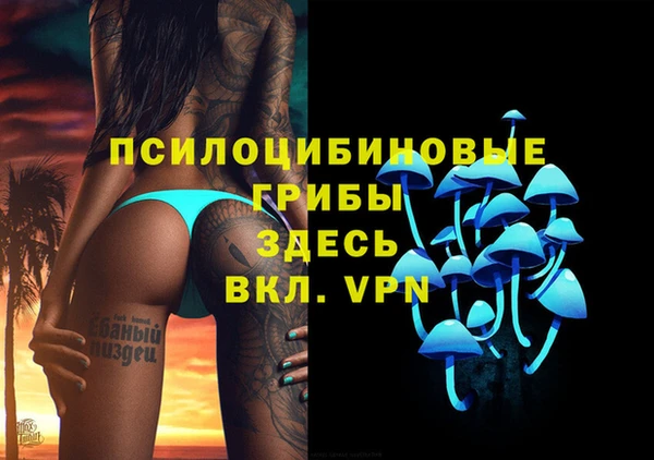 стаф Абаза